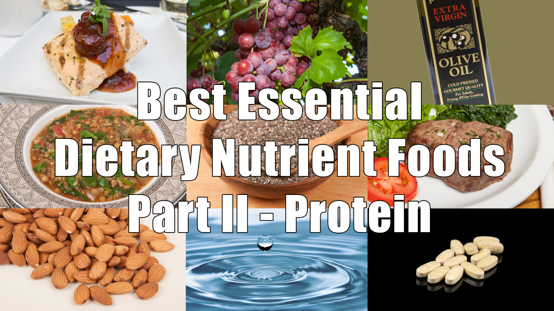 Best Essential Dietary Nutrient Foods Part II Protein DiTuro